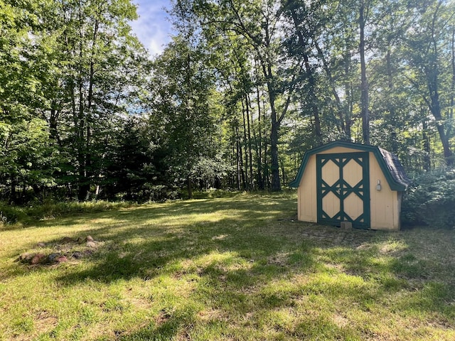 view of yard with a storage shed