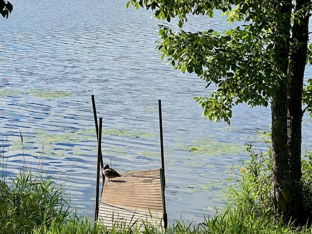 property view of water featuring a boat dock