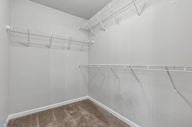 walk in closet with carpet