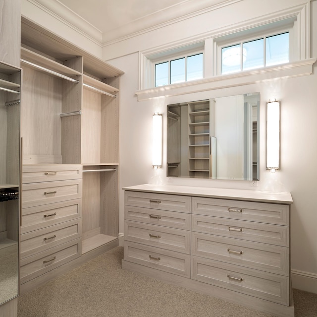 spacious closet featuring carpet flooring