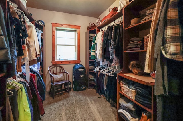 walk in closet featuring carpet