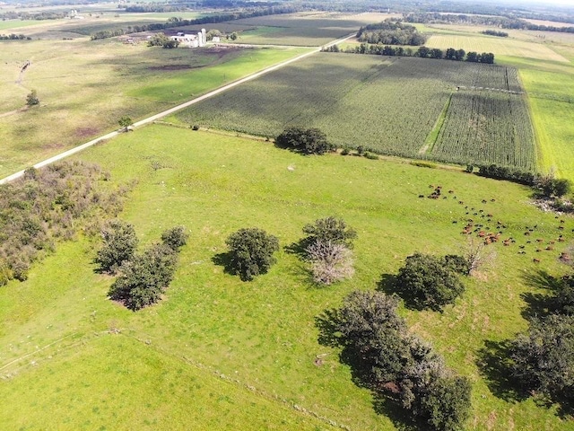 drone / aerial view with a rural view