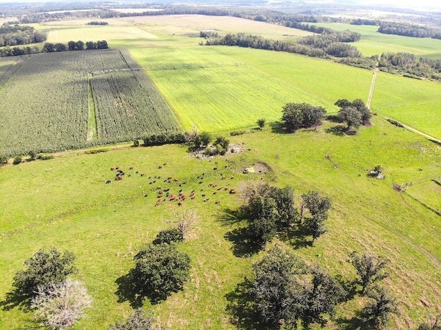 drone / aerial view with a rural view