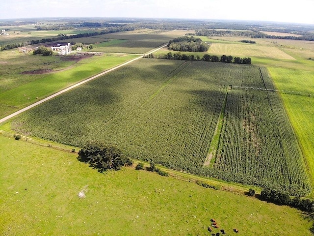 bird's eye view featuring a rural view