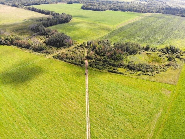 bird's eye view with a rural view