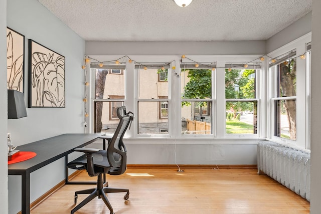 office featuring light wood-type flooring, a textured ceiling, radiator heating unit, and a wealth of natural light