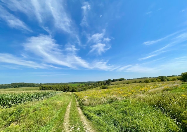TBD County 8, Spring Grove Twp, MN 55954