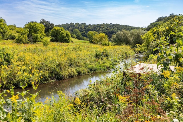 TBD County 8, Spring Grove Twp, MN 55954