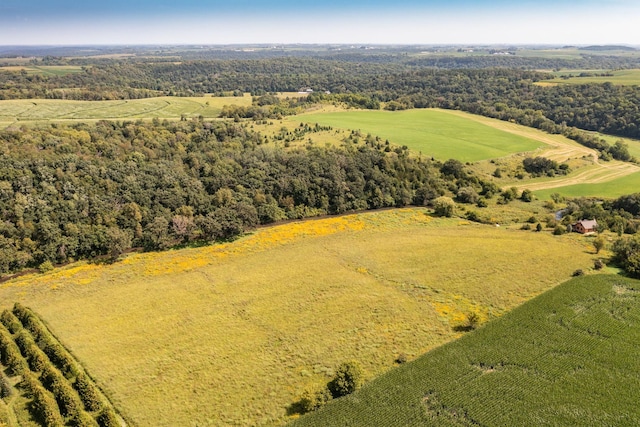 TBD County 8, Spring Grove Twp, MN 55954