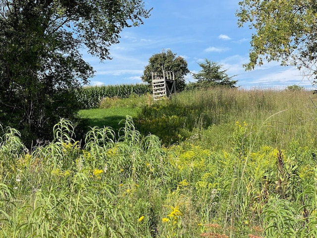 TBD County 8, Spring Grove Twp, MN 55954