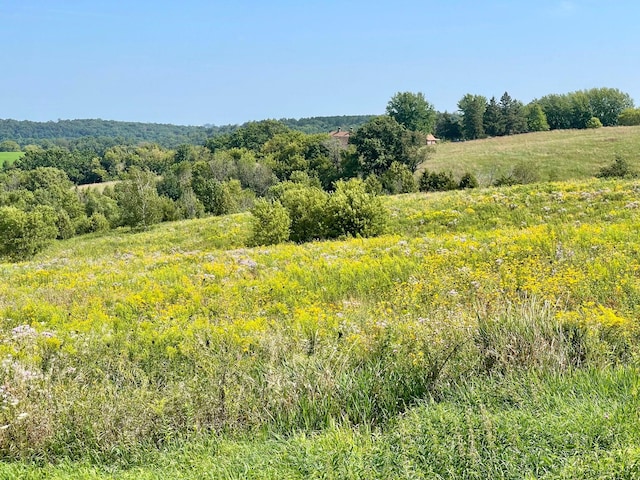 TBD County 8, Spring Grove Twp, MN 55954