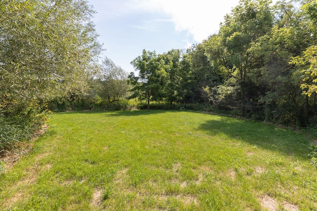 TBD County 8, Spring Grove Twp, MN 55954