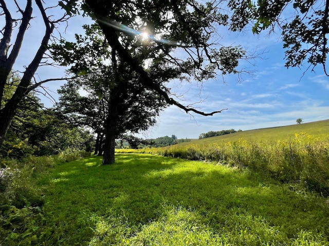 TBD County 8, Spring Grove Twp, MN 55954