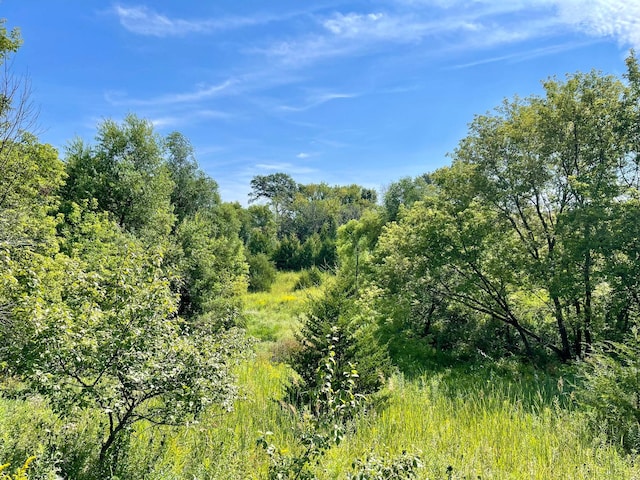 TBD County 8, Spring Grove Twp, MN 55954