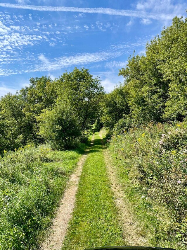 TBD County 8, Spring Grove Twp, MN 55954