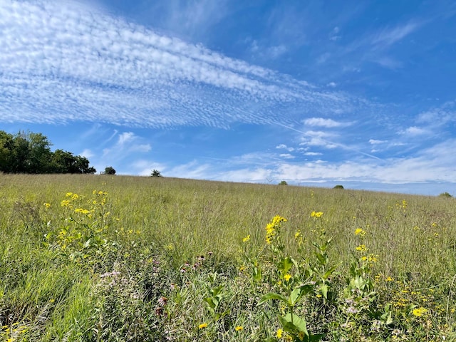 TBD County 8, Spring Grove Twp, MN 55954