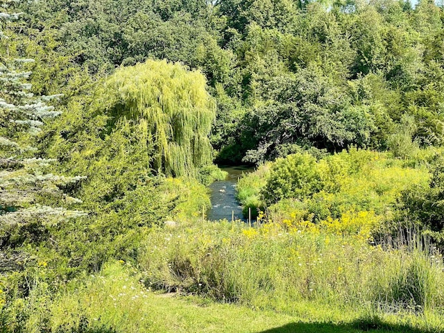 TBD County 8, Spring Grove Twp, MN 55954