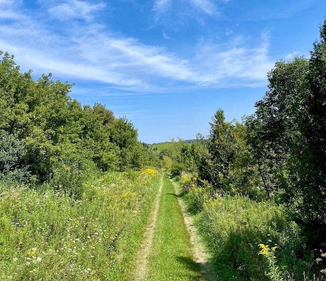 TBD County 8, Spring Grove Twp, MN 55954