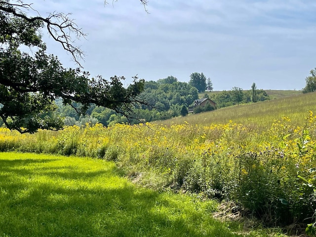 TBD County 8, Spring Grove Twp, MN 55954
