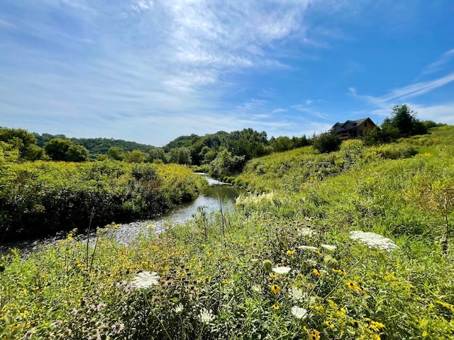 TBD County 8, Spring Grove Twp, MN 55954
