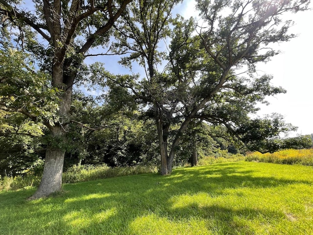TBD County 8, Spring Grove Twp, MN 55954