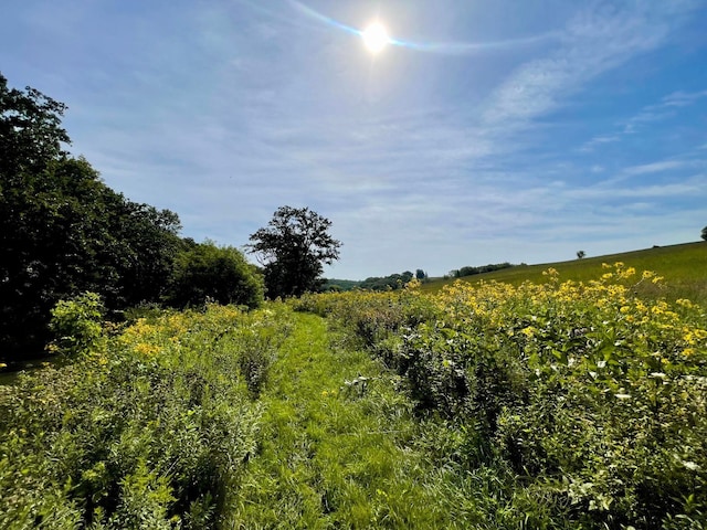 TBD County 8, Spring Grove Twp, MN 55954