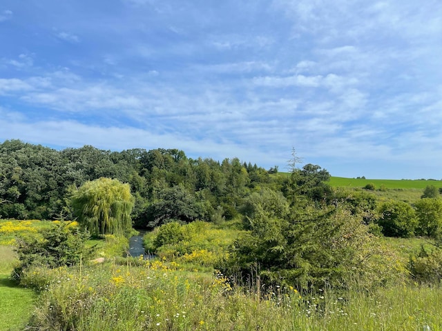 TBD County 8, Spring Grove Twp, MN 55954