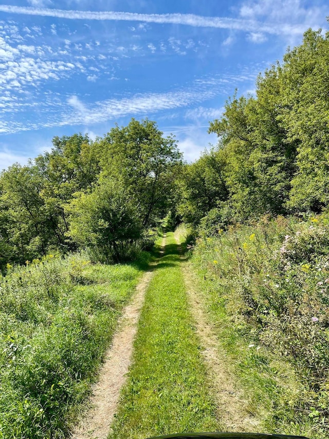 TBD County 8, Spring Grove Twp, MN 55954