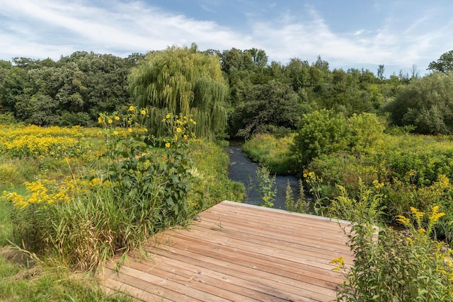 TBD County 8, Spring Grove Twp, MN 55954