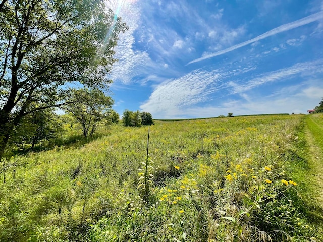 TBD County 8, Spring Grove Twp, MN 55954