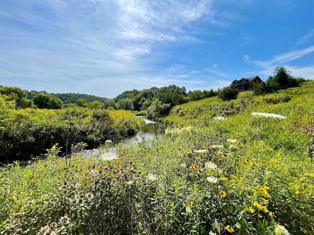 TBD County 8, Spring Grove Twp, MN 55954