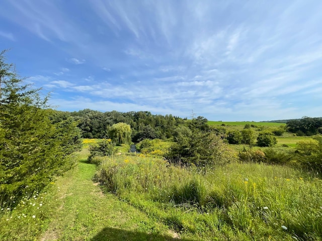 TBD County 8, Spring Grove Twp, MN 55954
