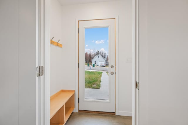 mudroom with light hardwood / wood-style flooring and a wealth of natural light