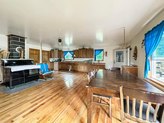 dining room with light hardwood / wood-style flooring