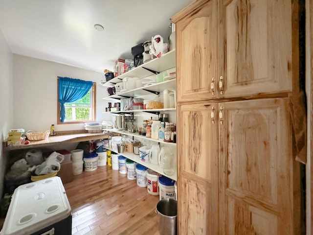 view of pantry