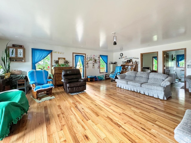 living room featuring light hardwood / wood-style flooring