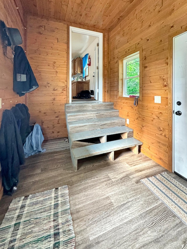 interior space with wood walls and wood ceiling