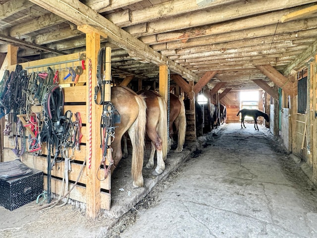 view of stable