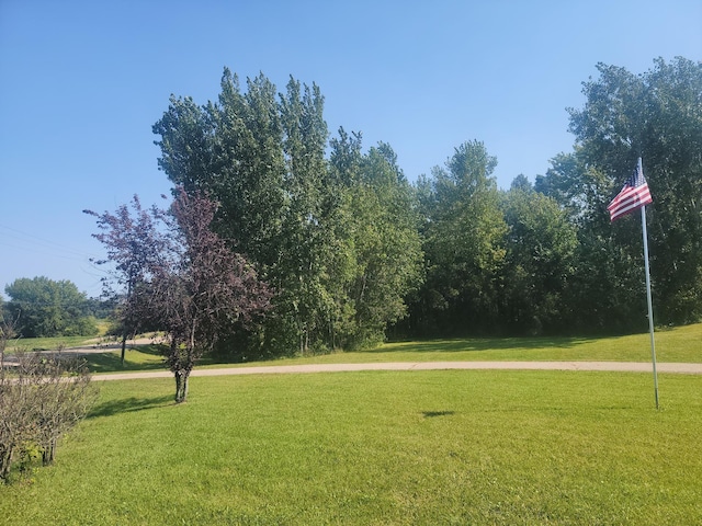 view of property's community featuring a yard