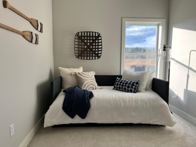 bedroom featuring baseboards and carpet