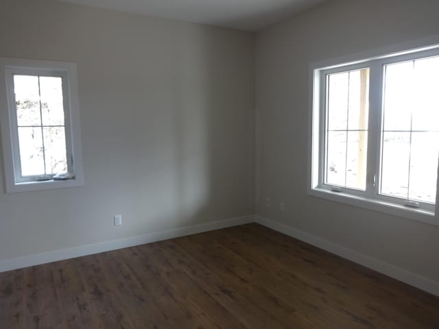 unfurnished room featuring baseboards, a healthy amount of sunlight, and dark wood-style flooring