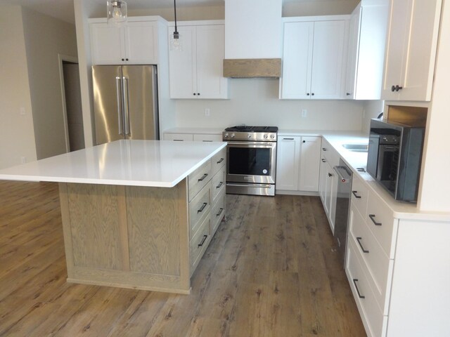 981 White Spruce Ln NW, Alexandria, MN 56308 - kitchen with appliances with stainless steel finishes, custom range hood, light wood finished floors, and a center island