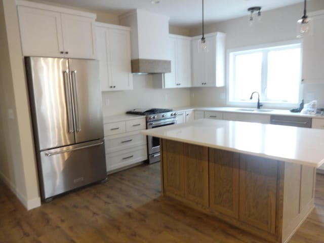 981 White Spruce Ln NW, Alexandria, MN 56308 - kitchen featuring appliances with stainless steel finishes, custom exhaust hood, dark wood finished floors, and white cabinetry