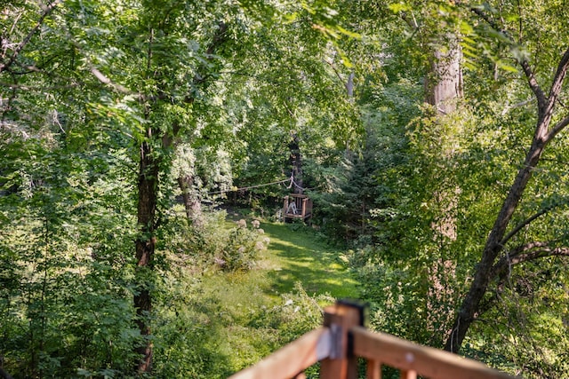 view of yard featuring a wooded view