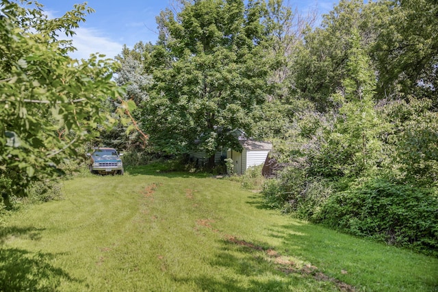 view of yard with an outbuilding and a storage unit