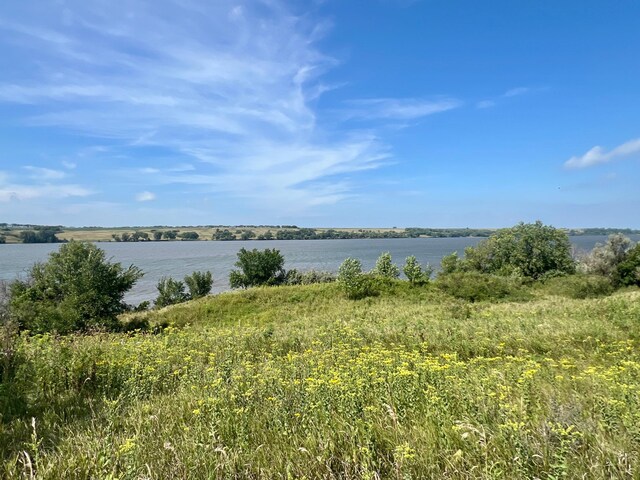 25311 Dakota Skipper Dr, Beardsley, MN 56211