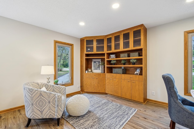 5745 Echo Rd, Excelsior, MN 55331 - living area with baseboards, recessed lighting, and light wood-style flooring
