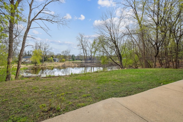 5745 Echo Rd, Excelsior, MN 55331 - view of yard featuring a water view