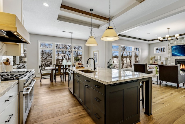 kitchen featuring a tray ceiling, light wood finished floors, custom exhaust hood, stainless steel appliances, and a sink