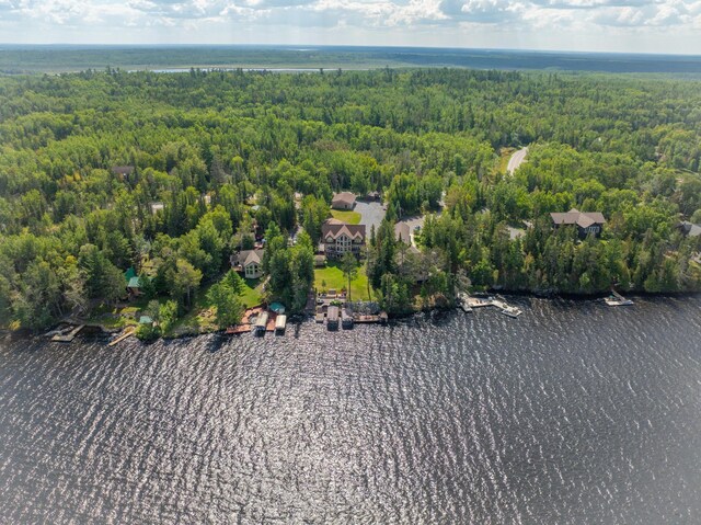 2565 County Road 103, International Falls, MN 56649 - photo 45